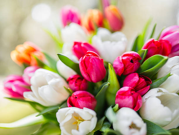 istock colorful tulips bouquet 467362504