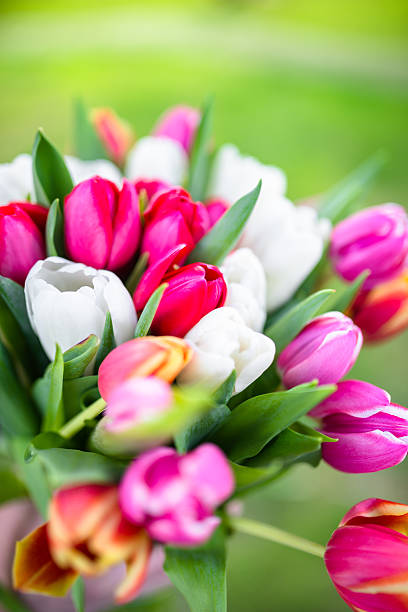 istock colorful tulips bouquet 467362508