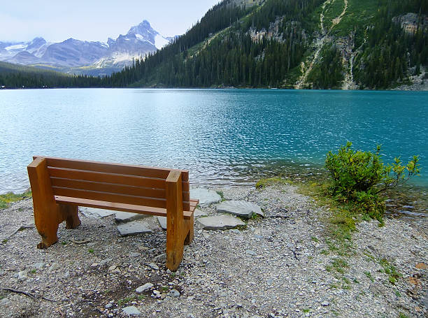 istock Lake O'Hara, Yoho National Park, British Columbia, Canada 467362715