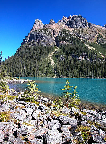 istock Lake O'Hara, Yoho National Park, British Columbia, Canada 467362815