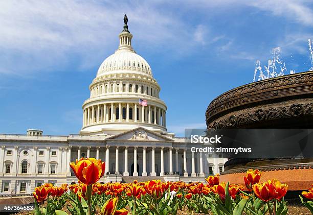 The Capitol Stock Photo - Download Image Now - Architectural Dome, Blue, Built Structure