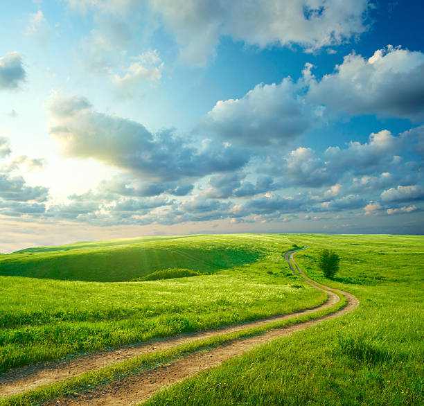 istock Summer landscape with green grass, road and clouds 467366701