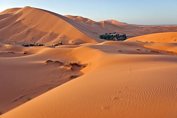 istock Evening at Erg Chebbi Oasis, Morocco, Africa 467370357