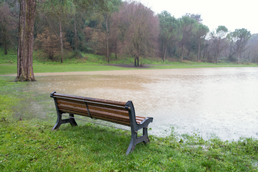 Rainy day in the park, Rome Italy