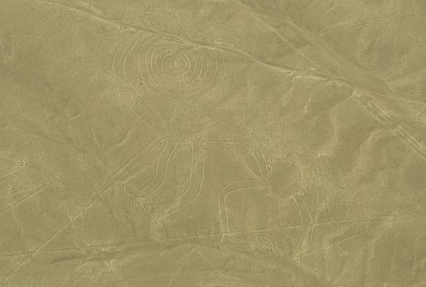 małpa nazca geogyph linie w pustyni, peru - floating of ice zdjęcia i obrazy z banku zdjęć