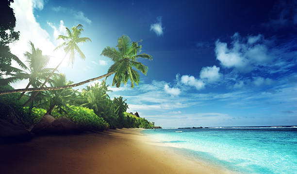 istock beach in sunset time on Mahe island in Seychelles 467373064