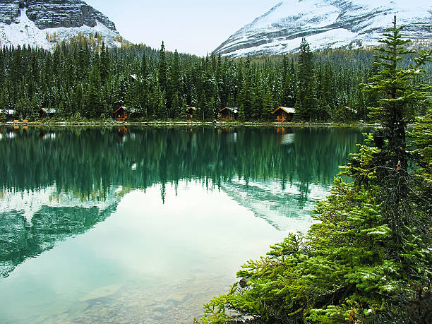 istock Lake O'Hara, Yoho National Park, British Columbia, Canada 467374077