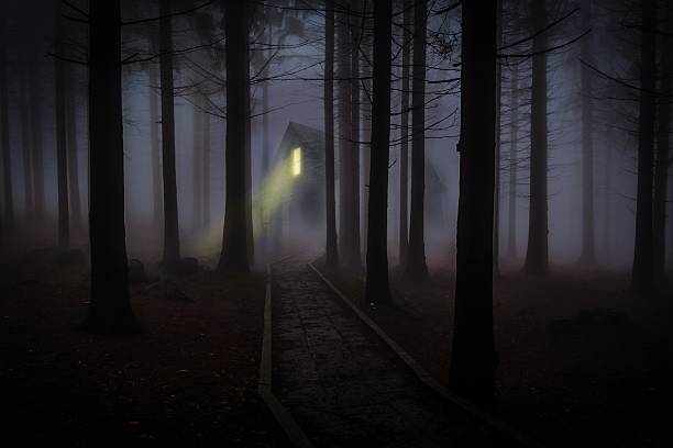 dunkle house - forest dark woods spooky stock-fotos und bilder