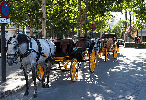 istock Horse Carriage in Sevilla - Spain 467375940