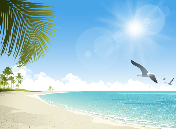 Tropical beach background Tropical beach background. EPS 10 file contains transparencies. File is layered, global colors used. Please take a look at other work of mine linked below. sand illustrations stock illustrations