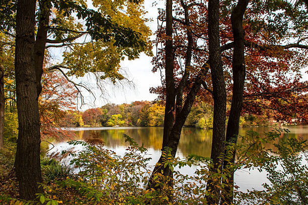 istock Autumn in the Central Park 467376146