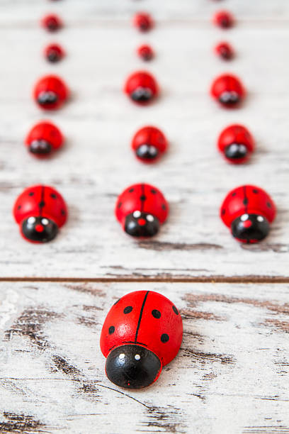 istock Wooden Ladybirds 467376164