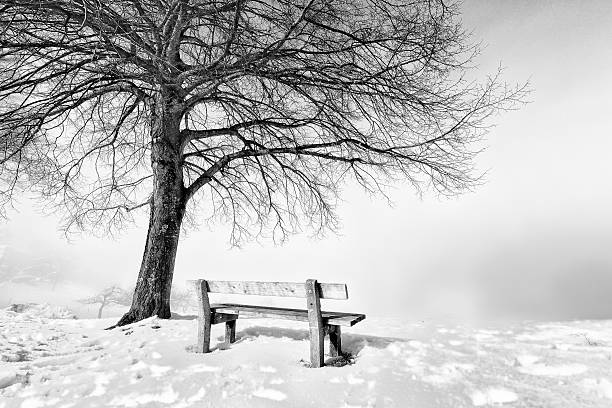 istock bench, foggy winter day 467378602