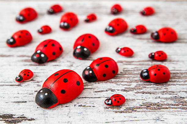 istock Wooden Ladybirds 467378716