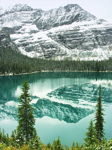 istock Lake O'Hara, Yoho National Park, British Columbia, Canada 467378925