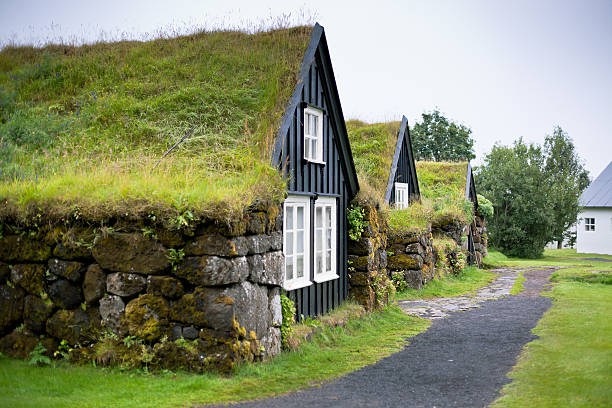 istock Overgrown Typical Rural Icelandic house at overcast day 467390179