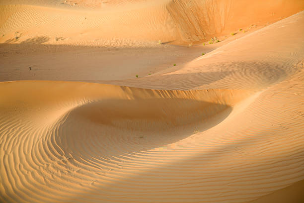 istock Part of dunes sand desert 467392590