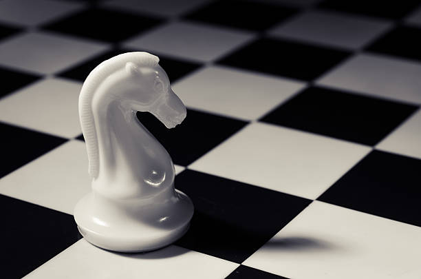 체스 인명별 knight - chess knight 뉴스 사진 이미지