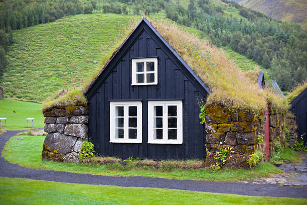 istock Overgrown Typical Rural Icelandic house at overcast day 467393079