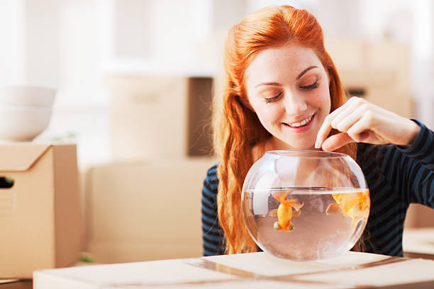 istock New beginings, woman unpacking at home. 467394621