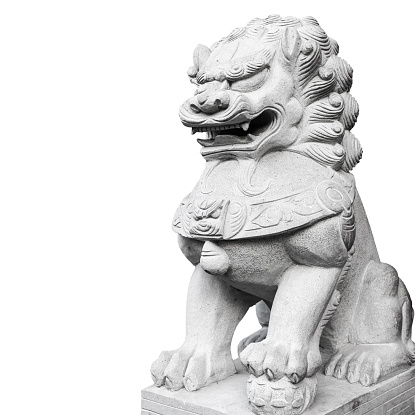 Ancient Chinese lion statue made of gray stone isolated on white background