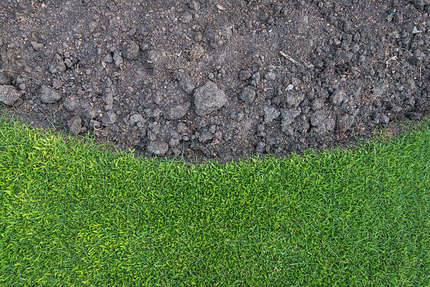 istock green grass with soil as nature background 467398736