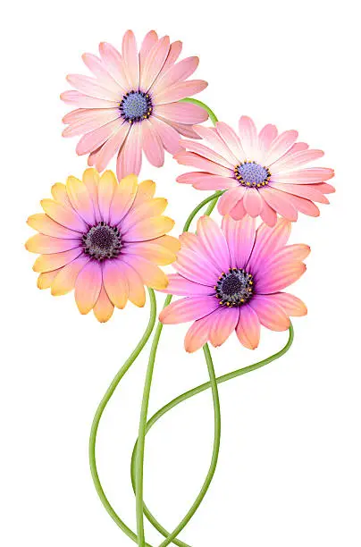 Assorted colorful happy flowers bouquet