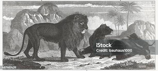 Lion Family Engraving Stock Illustration - Download Image Now - Lion - Feline, Lion Cub, 19th Century