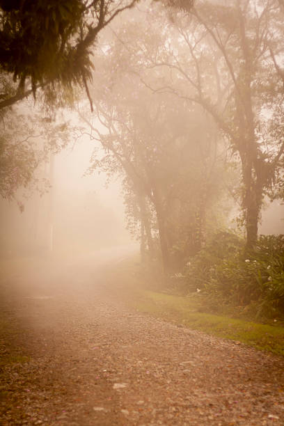 istock Foggy road in Paranapiacaba, Brazil 467403028