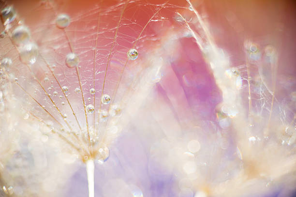 istock Tears of  Joy 467405774