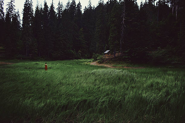 Girl in green field near the forest