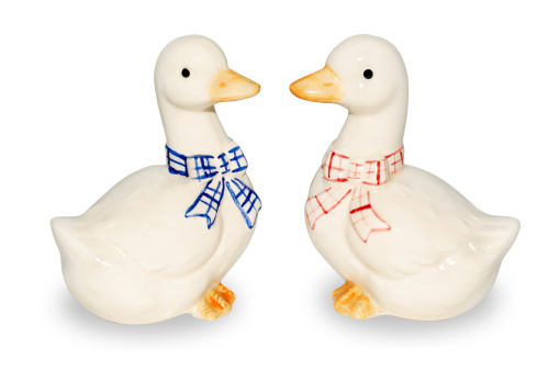 Figures of two geese closeup isolated on white background.