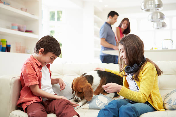 enfants jouant avec un chien sur canapé que les parents font de repas - male animal audio photos et images de collection