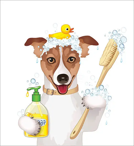 Vector illustration of Dog bathing time,