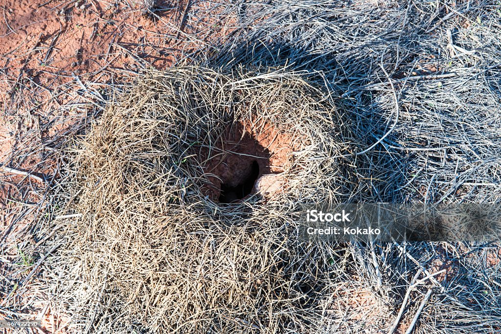 Gosses Bluff, Northern Territory, Australia Gosses Bluff, an asteroid crater with a great aboriginal significance in the Tnorala Conservation Reserve, Northern Territory, Australia 2015 Stock Photo