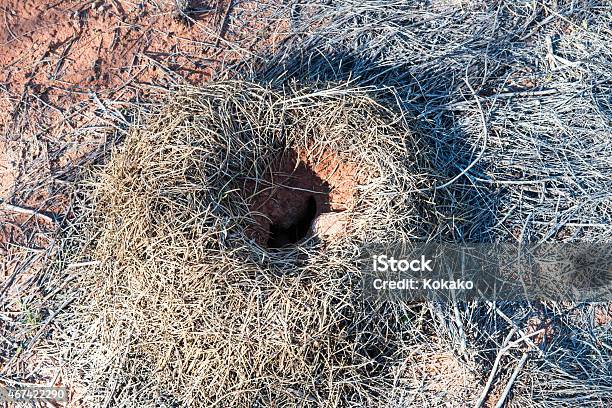 Gosses Bluff Northern Territory Australia Stock Photo - Download Image Now - 2015, Australia, Horizontal