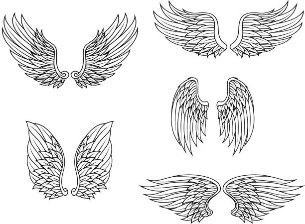 Vector illustration of Heraldic wings set