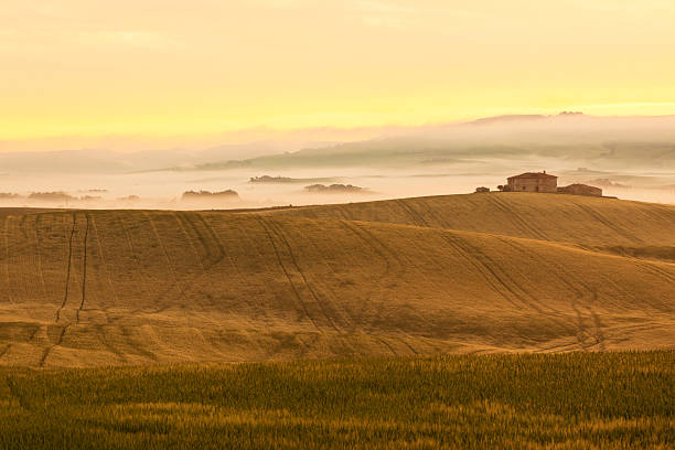rano mgła widok na dom w gospodarstwie rolnym w toskania, włochy - siena province tuscany italy fog zdjęcia i obrazy z banku zdjęć