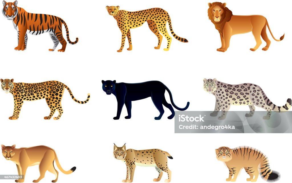 Vector illustration of nine large cats Popular big cats high detailed vector collection Vector stock vector