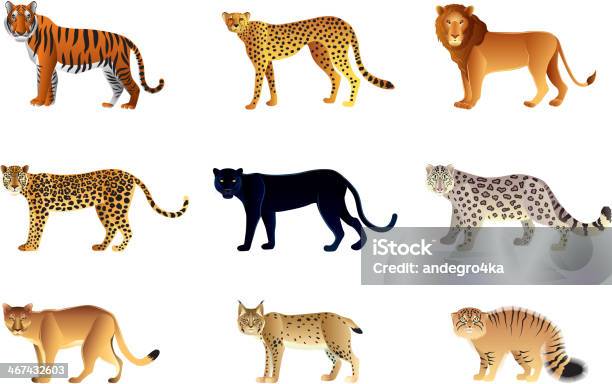 Vector Illustration Of Nine Large Cats Stock Illustration - Download Image Now - Vector, Jaguar - Cat, Leopard