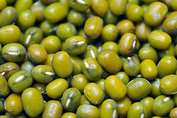 グリーンまたは緑豆背景。 農産物製品、食品 - variation bean beige cannellini bean ストックフォトと画像