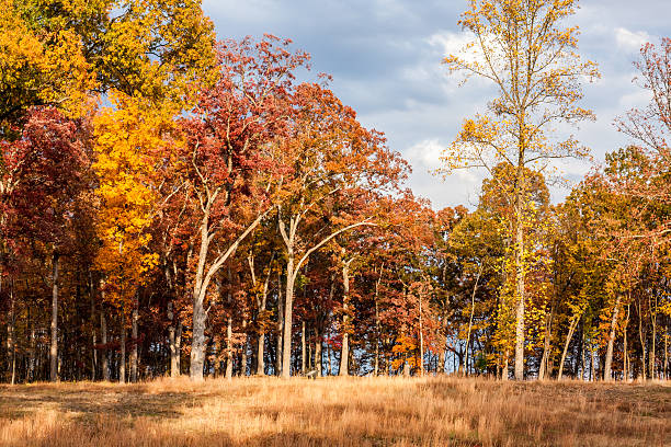 Autumn Landscape in Leesburg, Virginia stock photo
