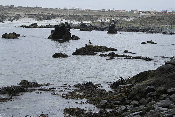 istock Damas Island near La Serena Chile 467444042