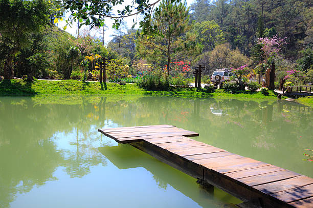 puente de madera en el lago - bohlen fotografías e imágenes de stock