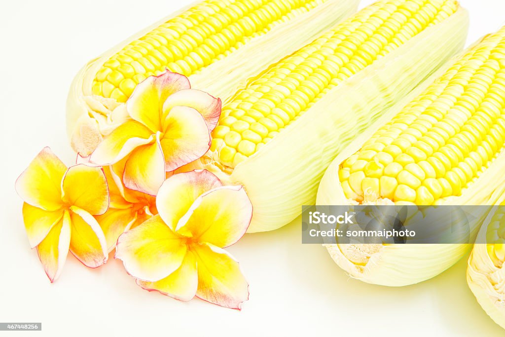 Corn and flowers Corn and flowers isolated on white 2015 Stock Photo