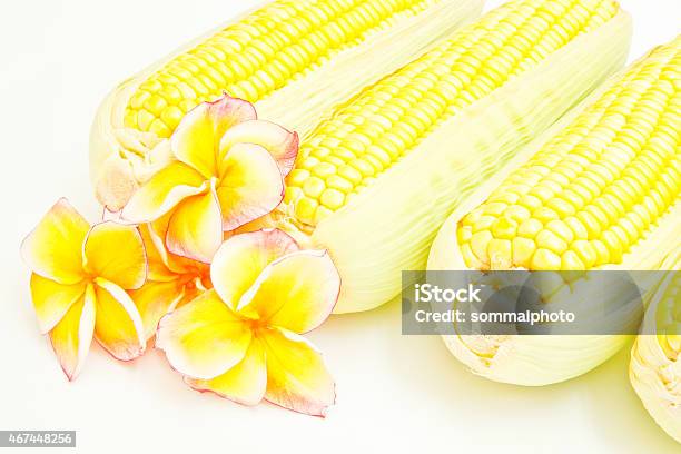 Corn And Flowers Stock Photo - Download Image Now - 2015, Cereal Plant, Corn - Crop