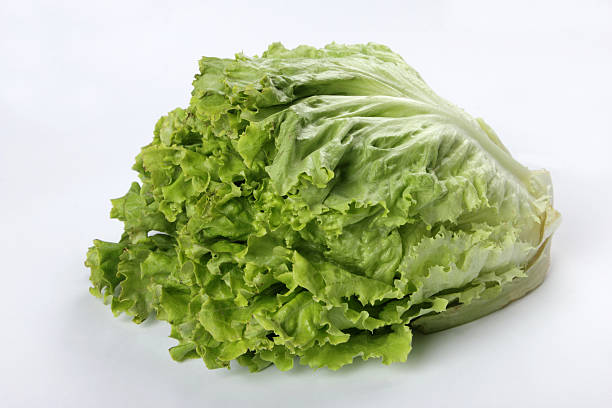 salade verte - lollo bionda lettuce photos et images de collection