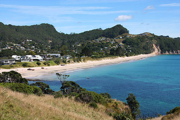 istock New Zealand beach 467448949