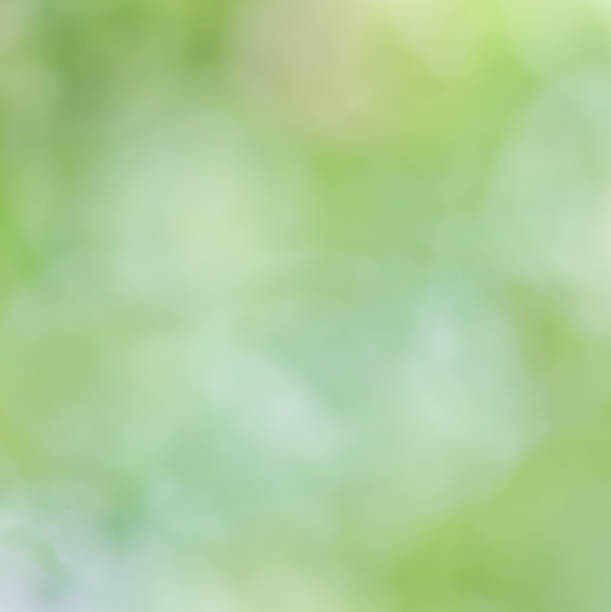istock Beautiful blur bokeh with abstract background in green 467449239