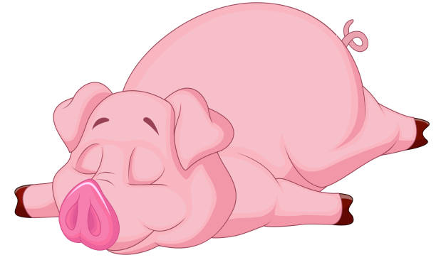 Cute pig cartoon sleeping Vector illustration of Cute pig cartoon sleeping cartoon pig lay down stock illustrations